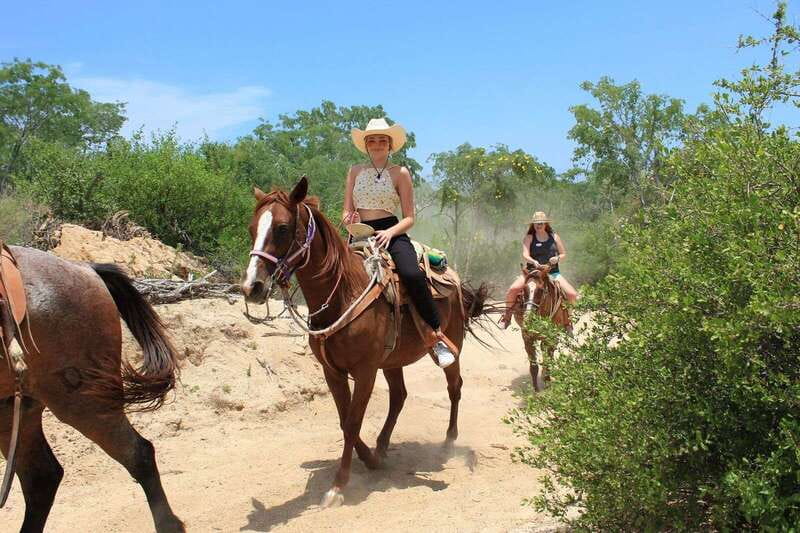 Los Cabos: Horseback Riding in Canyon a Mexican Experience - What the $115 price really covers