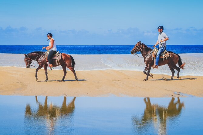 Los Cabos Horseback Riding - Getting settled with your horse