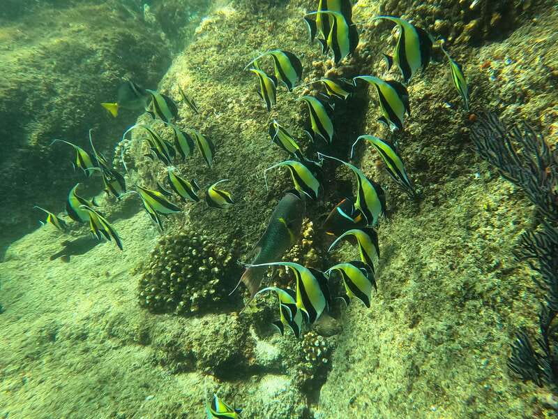 Los Cabos: Kayak to The Arch & Snorkel + Transport & Photos - The paddle back and the 2.5-hour schedule