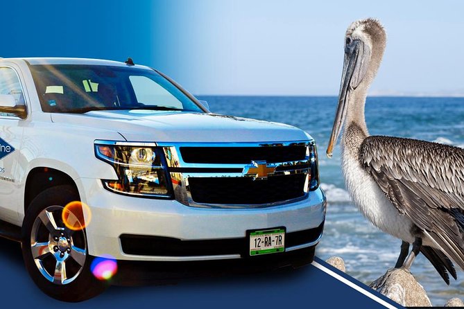 Los Cabos Luxury SUV Round-trip Transportation - Who should book this transfer?
