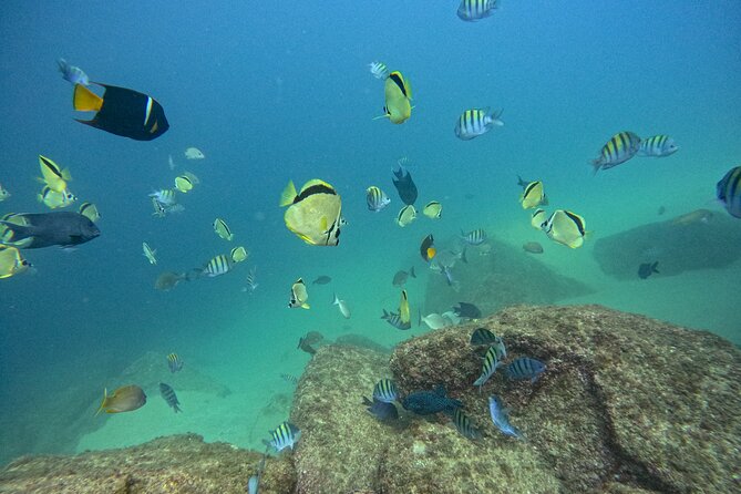 Los Cabos Open Water Diver Course - Day one: theory, videos, and getting comfortable