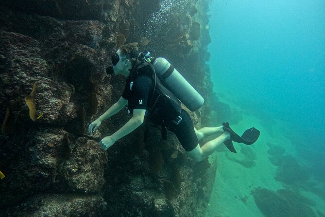 Los Cabos Open Water Diver Course - Open water in the Sea of Cortez