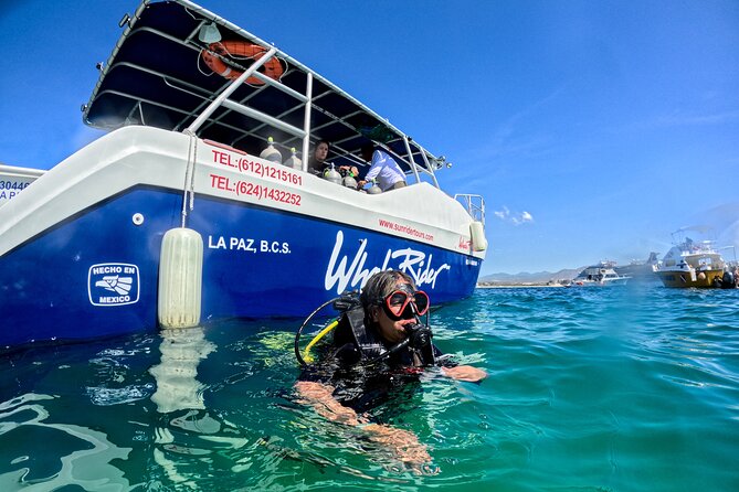 Los Cabos Open Water Diver Course - Meeting in the marina district