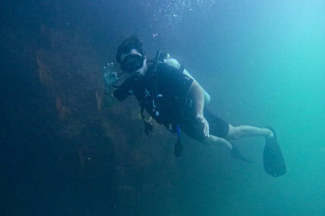 Los Cabos Open Water Diver Course - The confined-water session comes first for a reason