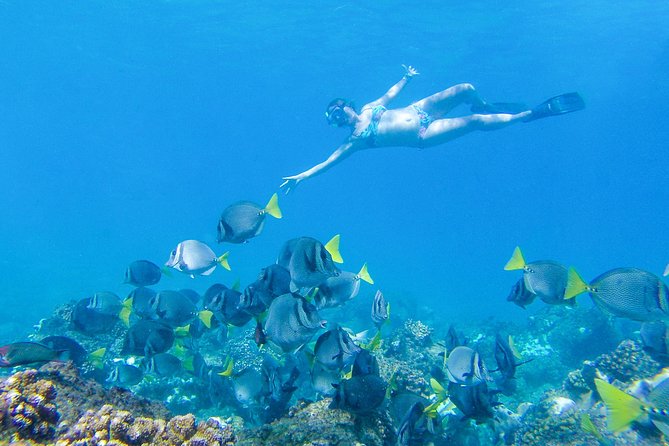Los Cabos Power snorkel Adventure, Kayaking and Stand-Up Paddle - Guides make a real difference