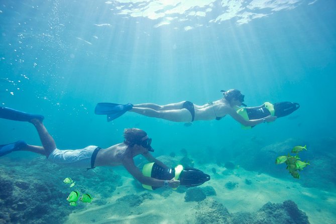 Los Cabos Power snorkel Adventure, Kayaking and Stand-Up Paddle - What the $99 price really covers