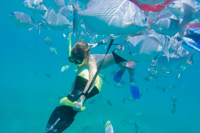 Los Cabos Power snorkel Adventure, Kayaking and Stand-Up Paddle - Timing, fitness, and weather concerns