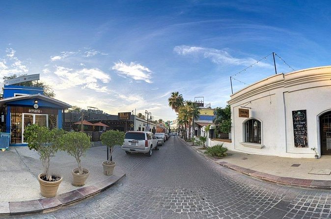 Los Cabos Private City Tour with Guide - Who will get the most from this Cabo tour