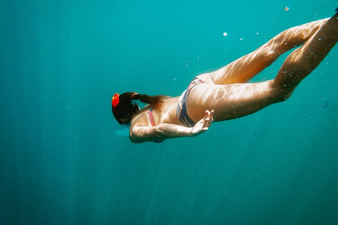 Los Cabos Seasonal Whale Watch and Snorkel Tour - Why this Cabo outing works so well