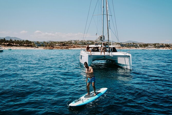 Los Cabos Seasonal Whale Watch and Snorkel Tour - Watching whales during the December to April season