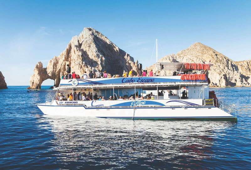 Los Cabos: Snorkeling Cruise with Lunch - The real character of this Cabo boat trip