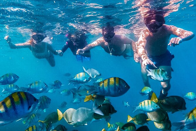Los Cabos Snorkeling Tour by Speed Boat with Photos Included - Key points to know before booking