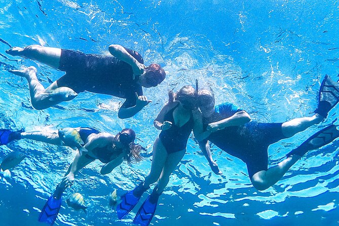 Los Cabos Snorkeling Tour by Speed Boat with Photos Included - Rough water, weather, and realistic expectations