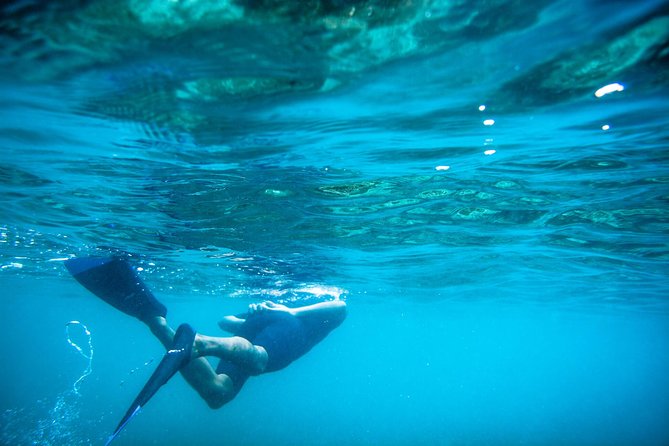 Los Cabos Snorkeling Tour to Chileno Bay and Santa Maria Cove - A shore-snorkeling day, not a boat excursion