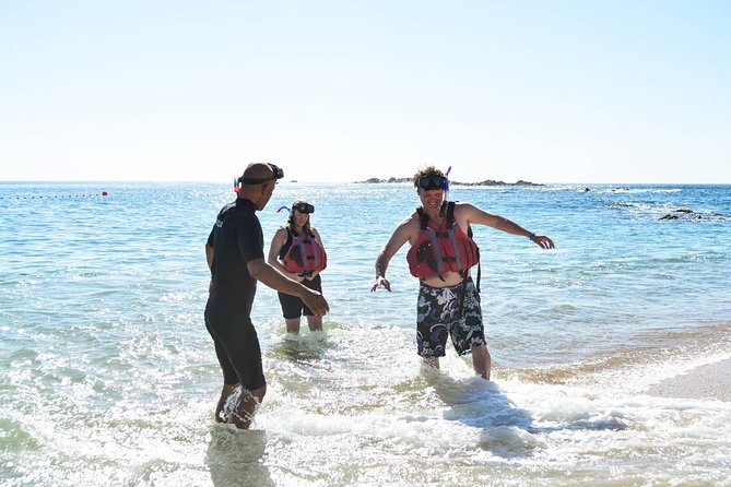 Los Cabos Snorkeling Tour to Chileno Bay and Santa Maria Cove - Transport from Cabo San Lucas and the hotel zone