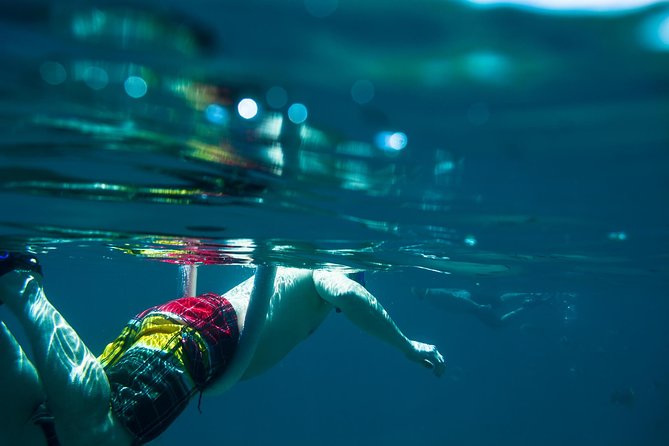 Los Cabos Snorkeling Tour to Chileno Bay and Santa Maria Cove - The people who will get the most from this tour
