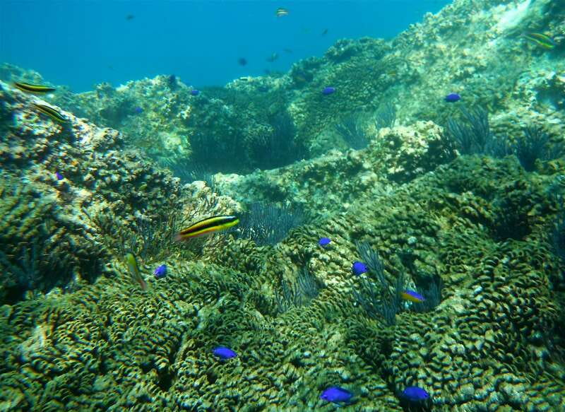 Los Cabos: The Arch and Lover's Beach Kayaking + Snorkeling - Paddling along Land’s End