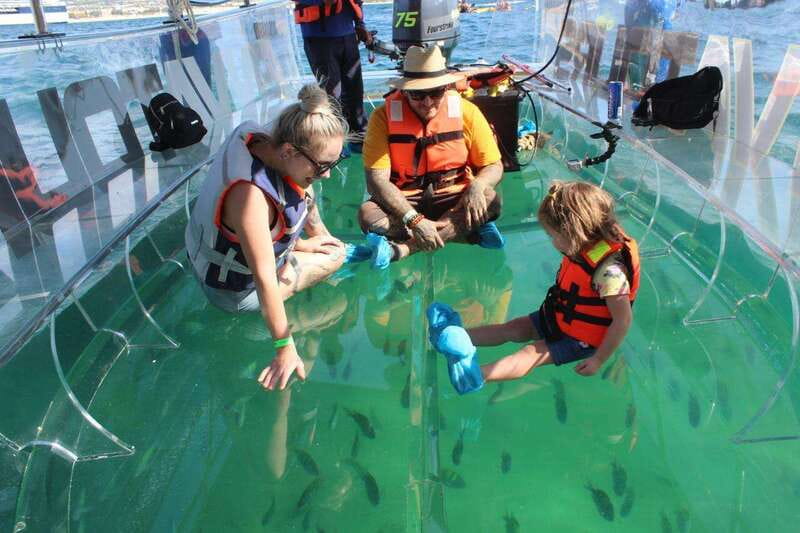 Los Cabos: Transparent Boat Tour with Optional City Tour - Key points to know before booking