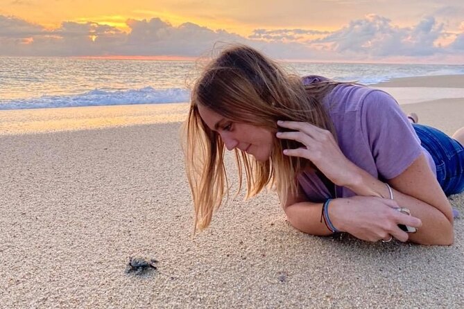 Los Cabos turtle release conservation program - Group size, private options, and family fit