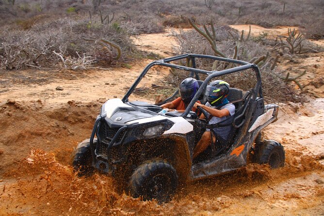 Los Cabos UTV Outdoor Experience to the Hidden Arch - From Cabo hotels to a Baja trailhead