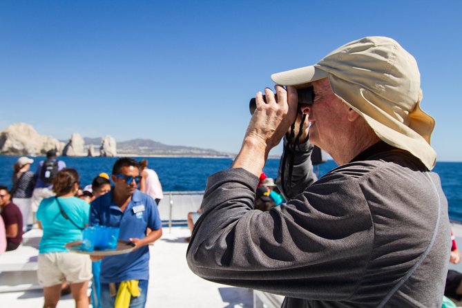 Los Cabos Whale Watching Cruise Including Breakfast - A nature talk with a party-boat setting
