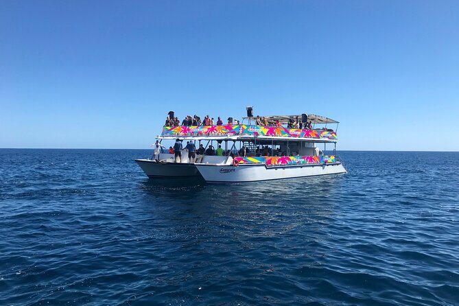 Los Cabos Whale Watching Cruise Including Breakfast - Who will enjoy this cruise most?