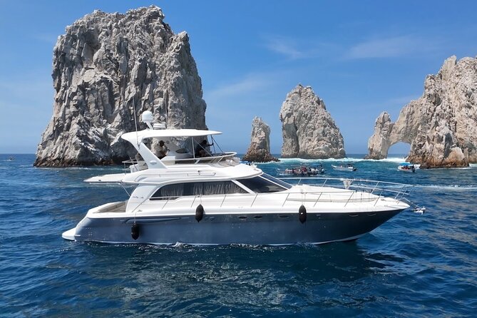 Los Cabos Whale Watching & Snorkel Adventure with Food & Drinks - Who will enjoy this Cabo outing most