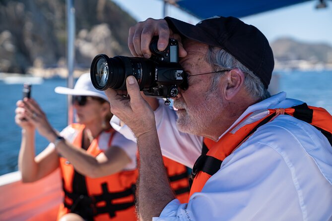 Los Cabos Whale Watching (Transportation and Pictures Included) - Leaving D Dock for Land’s End