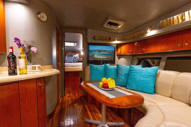 Luxury 42' Yacht Tour in Cabo for Snorkeling and Sunset - Land’s End, sea lions, and the famous Arch
