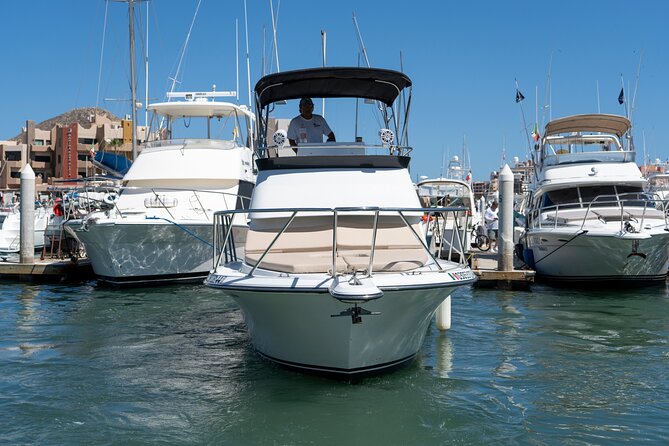 Luxury Private Yacht Charter in Cabo San Lucas Mexico - Sea lions and Scobby-Doo Rock