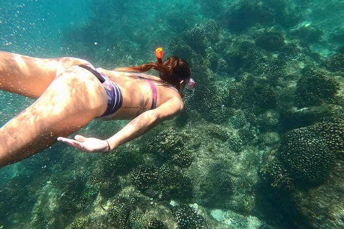 Luxury Snorkel Adventure in Cabo - A polished Cabo sailing day in three and a half hours