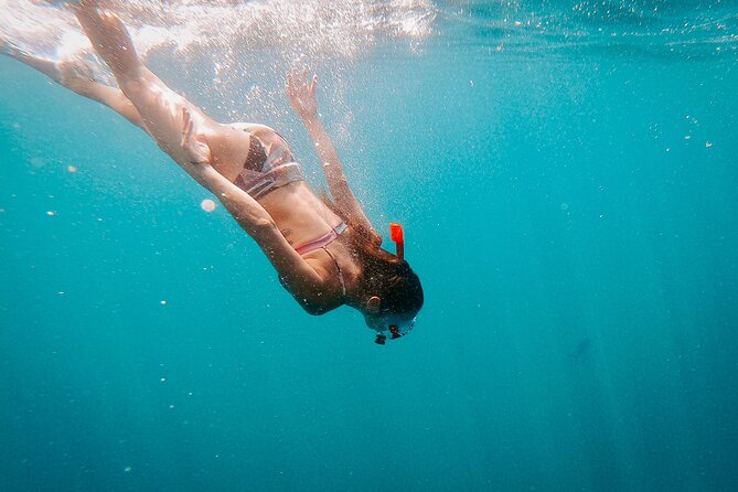 Luxury Snorkel Adventure in Cabo - Who will enjoy this Cabo catamaran most