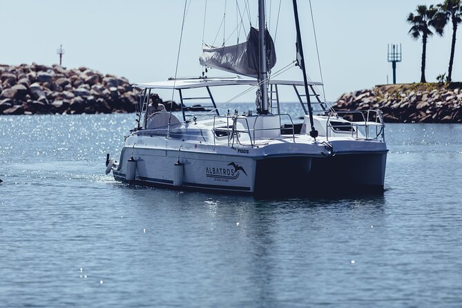 Luxury Snorkel Adventure in Cabo - Pickup, timing, and small practical details