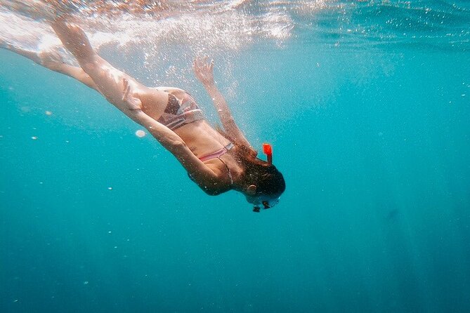 Luxury Snorkeling Tour in Cabo San Lucas - Is $249 a fair price?