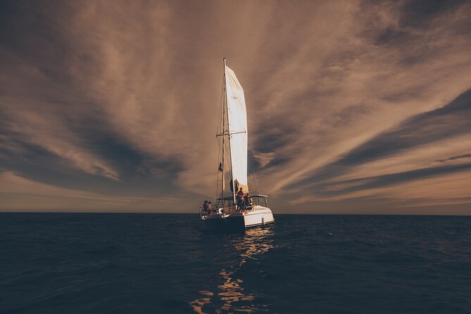 Luxury Whale Watch Cruise to The Arch Los Cabos - A small catamaran makes a big difference