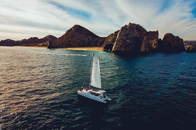 Luxury Whale Watch Cruise to The Arch Los Cabos - Open bar, snacks, and the real value of the price