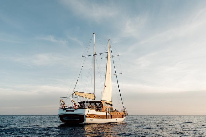 Luxury Yacht Snorkeling & Lunch Cruise from Cabo San Lucas - Baja tacos, ceviche, and a long lunch on board