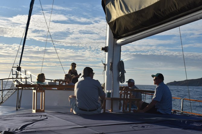 Luxury Yacht Snorkeling & Lunch Cruise from Cabo San Lucas - Who should book this Cabo yacht cruise?