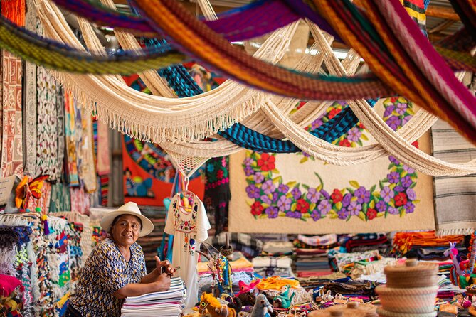 Magical Todos Santos Tour, Camel Ranch, Lunch and Tequila - Transport, timing, and the walking involved