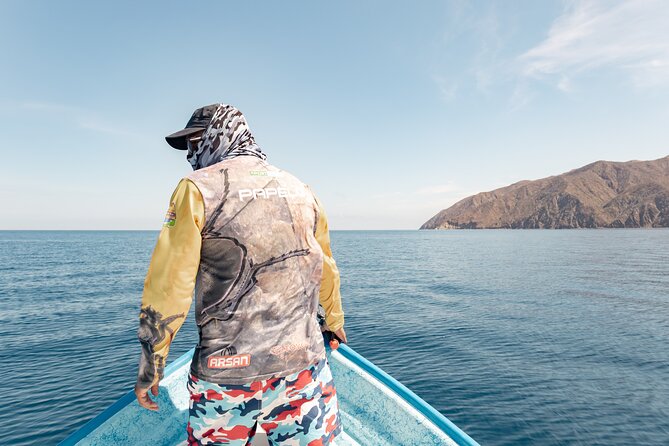 Marine Safari in La Ventana - Key points at a glance