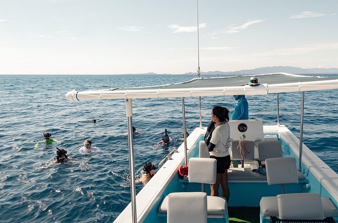 Marine Safari in La Ventana - A responsible way to watch whales