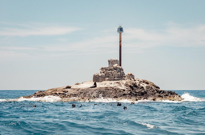 Marine Safari in La Ventana - Who will enjoy this most?