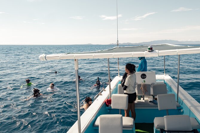 Marine Safari in La Ventana - Snorkeling beside sea lions and manta rays