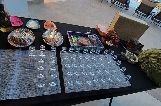 Mezcal Spirit Tasting Experience - Comparing agaves and mezcal brands