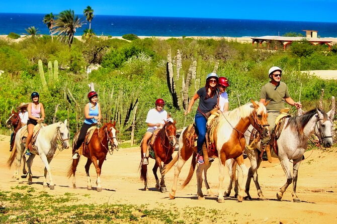 Migriño Beach Horseback Riding Experience - Riding the long shore at Playa Migriño