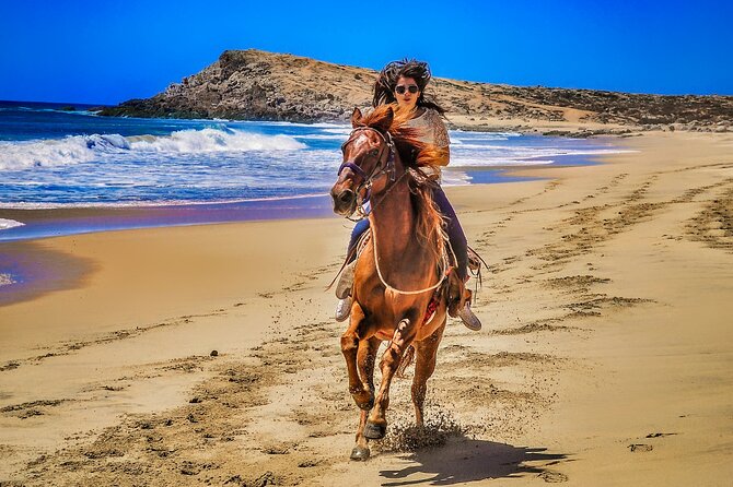 Migriño Beach Horseback Riding Experience - Who should book this ride