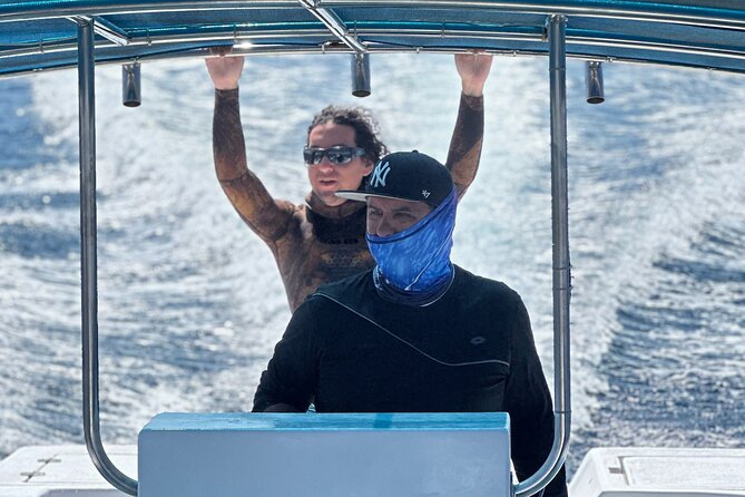 Mobulas Safari and Wildlife in La Ventana with a Marine Biologist - Searching for mobula rays off Punta Arena