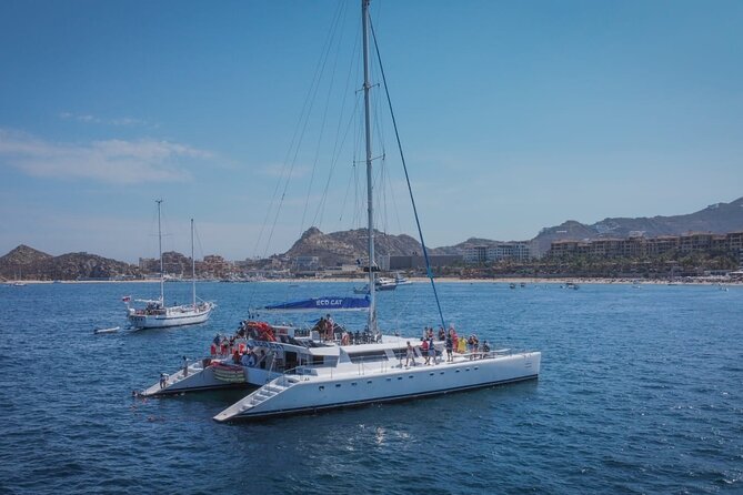 Multimillion Yacht Cabo Cruise Sunset or Snorkel Optional PICKUP! - Whales, sea lions, and what you may see