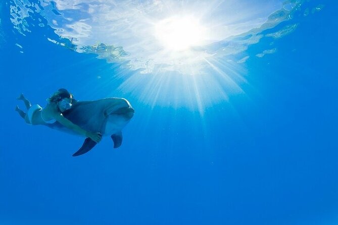 Must-DO The only and Unique Natural Space Dolphin Encounter Cabo - Key details before you book