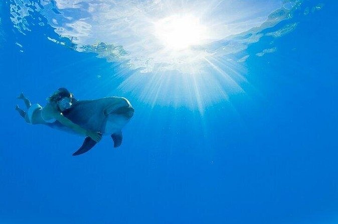 Must-DO The only and Unique Natural Space Dolphin Encounter Cabo - Timing, weather, and cancellation rules